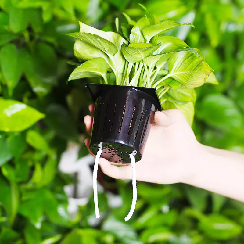 Hydroponiczny zestaw do uprawy – Hydroponic Kit recenzja i cena