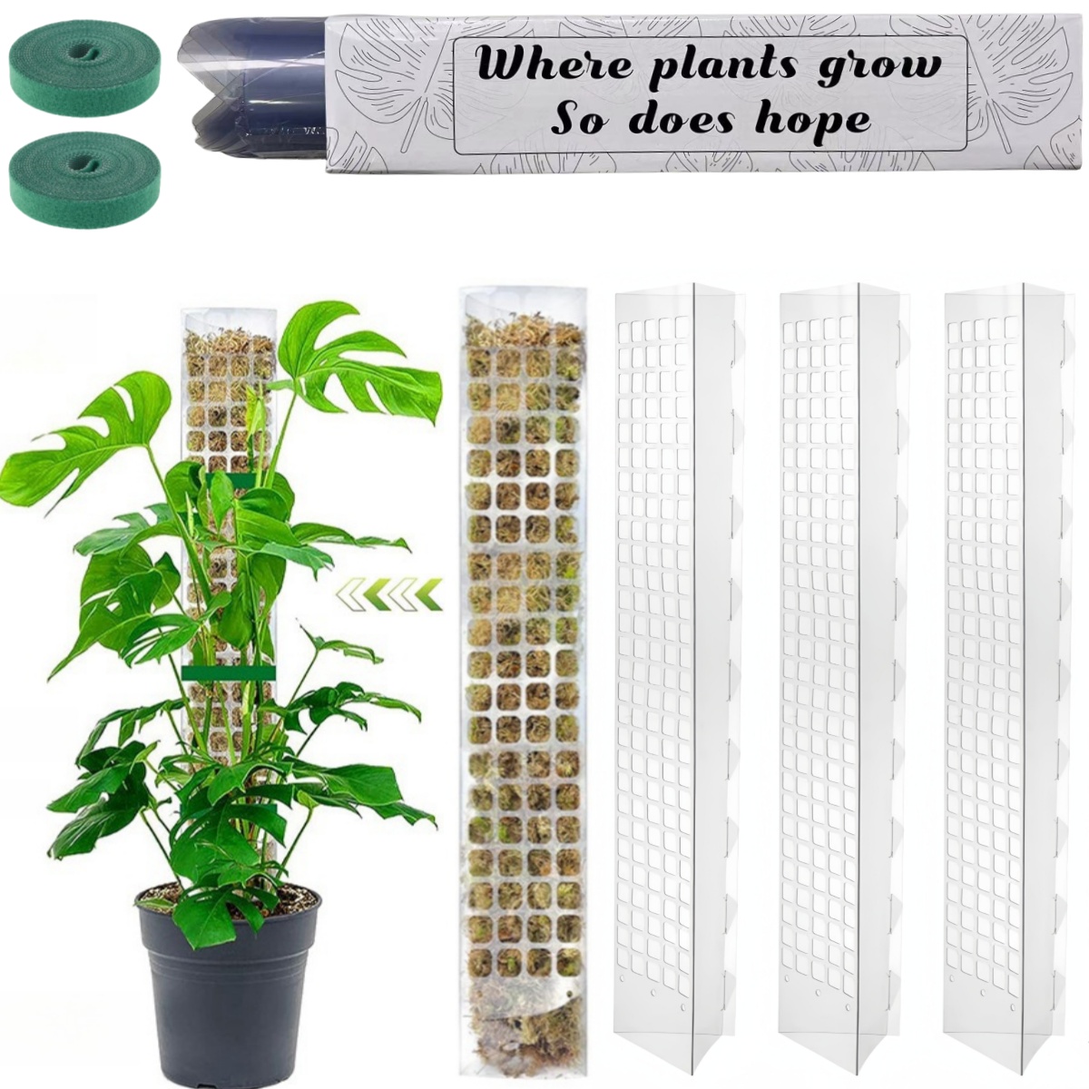 Słup mchu Plastikowy stojak na – Indoor Herb Garden recenzja i cena