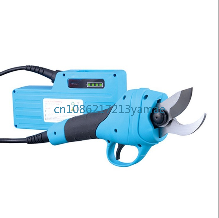 Plecak na baterie litowe Elekt – Pruning Shears recenzja i cena