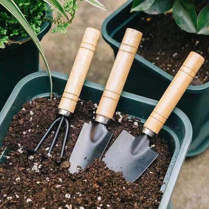 3 szt./1 zestaw Mini narzędzia – Indoor Herb Garden recenzja i cena
