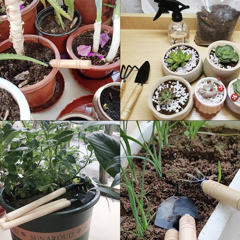 3 szt./1 zestaw Mini narzędzia – Indoor Herb Garden recenzja i cena