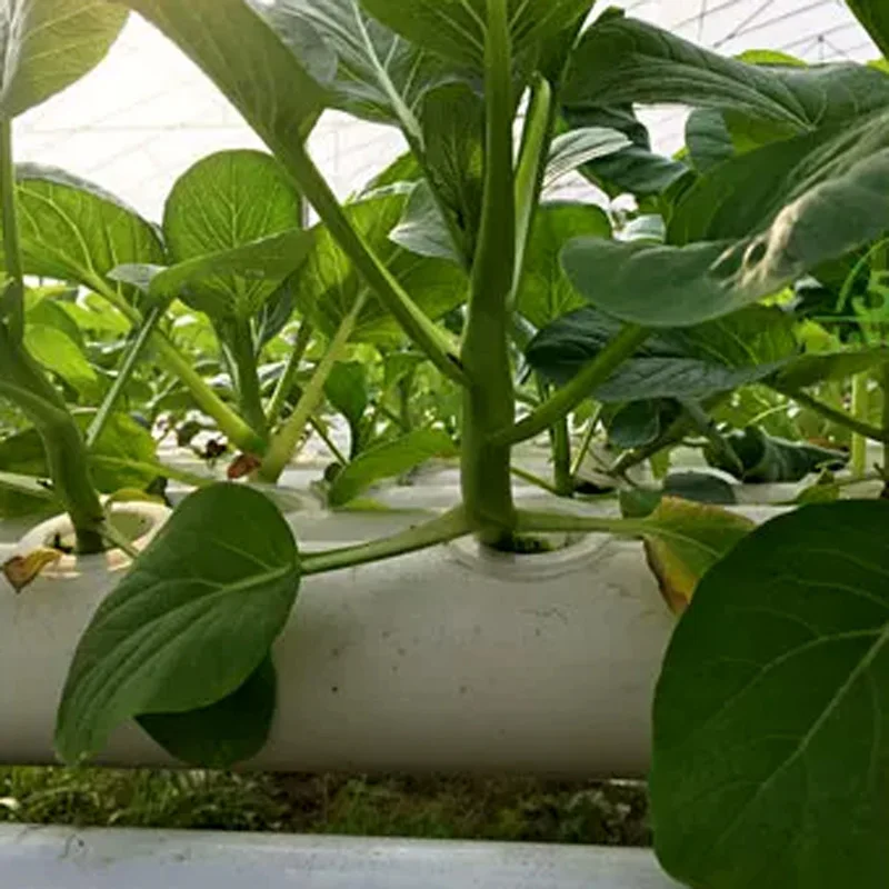 Zestaw do uprawy bezglebowej,  – Hydroponic Kit recenzja i cena