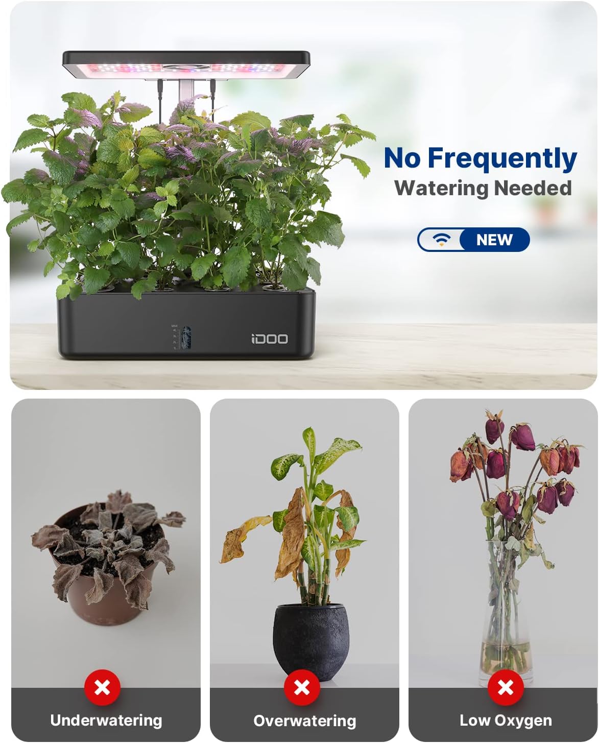 12-komórkowy system hydroponic – Hydroponic Kit recenzja i cena
